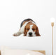 Sleeping beagle dog Wall Decal