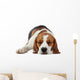 Sleeping beagle dog Wall Decal