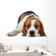 Sleeping beagle dog Wall Decal