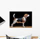 Beagle Dog Black