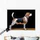 Beagle Dog Black