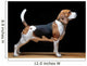 Beagle Dog Black