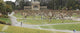 One Many Parks San Wall Mural
