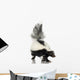 Striped Skunk - Mephitis Mephitis Wall Decal