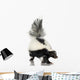 Striped Skunk - Mephitis Mephitis Wall Decal