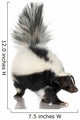 Striped Skunk - Mephitis Mephitis Wall Decal