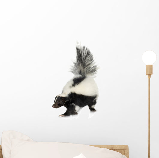 Striped Skunk - Mephitis mephitis Wall Decal