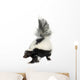 Striped Skunk - Mephitis mephitis Wall Decal