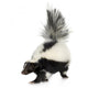 Striped Skunk - Mephitis mephitis Wall Decal