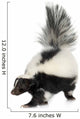 Striped Skunk - Mephitis mephitis Wall Decal