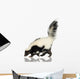 Striped Skunk - Mephitis mephitis Wall Decal