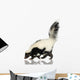 Striped Skunk - Mephitis mephitis Wall Decal