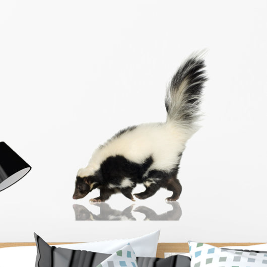 Striped Skunk - Mephitis mephitis Wall Decal