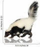 Striped Skunk - Mephitis mephitis Wall Decal