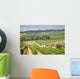 Vineyard Area Production