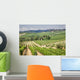 Vineyard Area Production