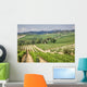 Vineyard Area Production