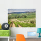 Vineyard Area Production