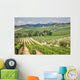 Vineyard Area Production