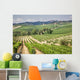Vineyard Area Production
