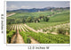 Vineyard Area Production
