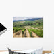 Vineyard Area Production
