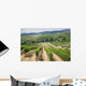 Vineyard Area Production