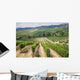Vineyard Area Production