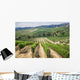 Vineyard Area Production