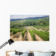 Vineyard Area Production