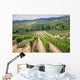 Vineyard Area Production