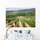 Vineyard Area Production