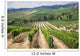 Vineyard Area Production