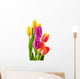 Bouquet of tulips on white background. Tulipa Wall Decal
