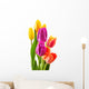 Bouquet of tulips on white background. Tulipa Wall Decal