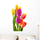Bouquet of tulips on white background. Tulipa Wall Decal