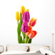 Bouquet of tulips on white background. Tulipa Wall Decal