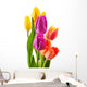 Bouquet of tulips on white background. Tulipa Wall Decal
