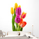 Bouquet of tulips on white background. Tulipa Wall Decal