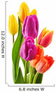 Bouquet of tulips on white background. Tulipa Wall Decal