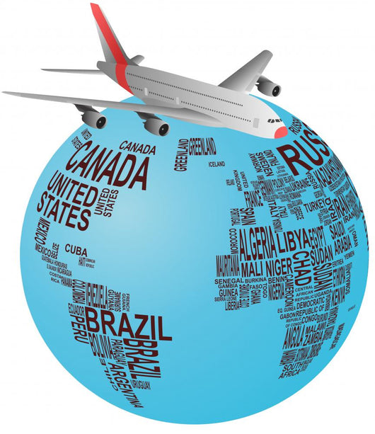 World Airplane Wall Decal