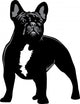 French Bulldog alert Wall Decal