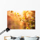 branch of black currant at sunset time Wall Mural