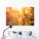 branch of black currant at sunset time Wall Mural