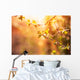 branch of black currant at sunset time Wall Mural