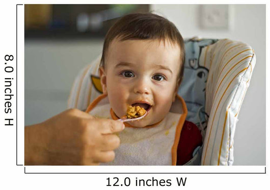 Baby Feeding Wall Mural