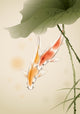 Koi Fishes Swimming Lotus