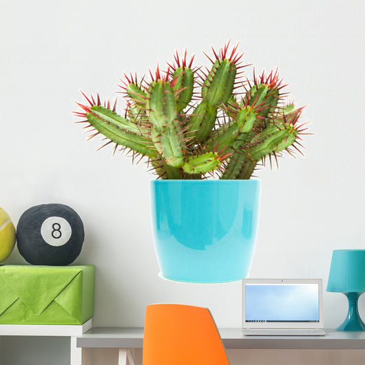 cactus Wall Decal
