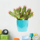 cactus Wall Decal