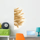 ripe ears of barley isolated on white Wall Decal